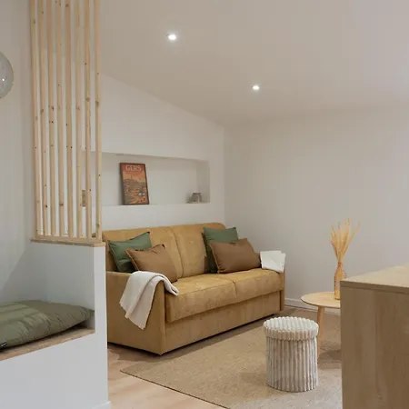 Apartamento Au Coeur Historique D'auch - Rue Pietonne, Clim & Parking Proche Auch